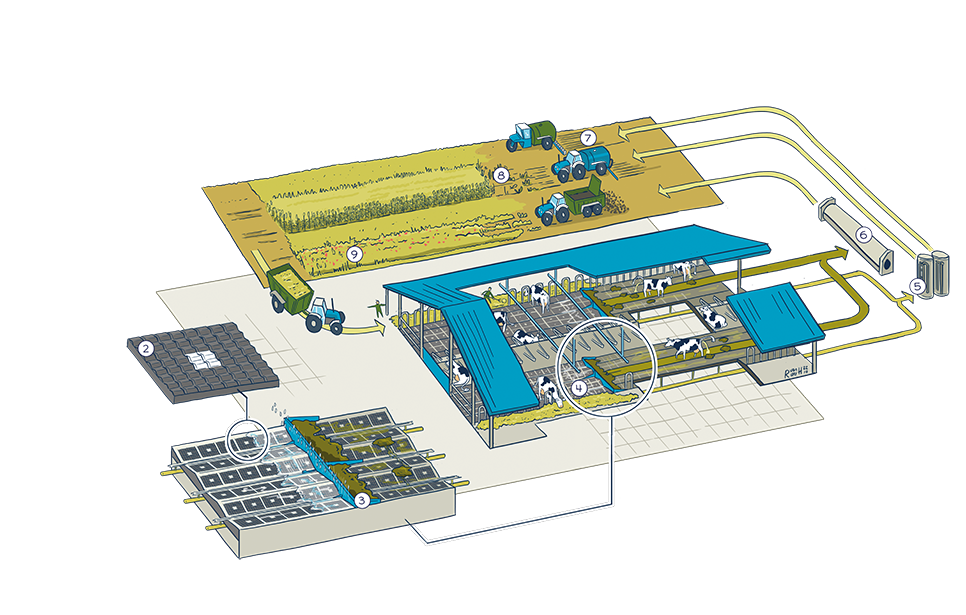 Het Bleu Label Systeem